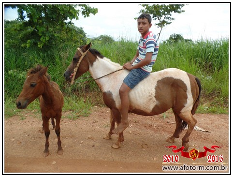 rolim de moura
